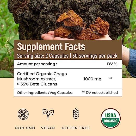 Rooted Actives Siberian Chaga mushroom Extract  (500 mg) |Blood Sugar, Heart & Immunity..