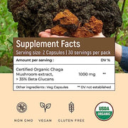 Siberian Chaga mushroom Extract  (500 mg) |Blood Sugar, Heart & Immunity. - CBD Store India