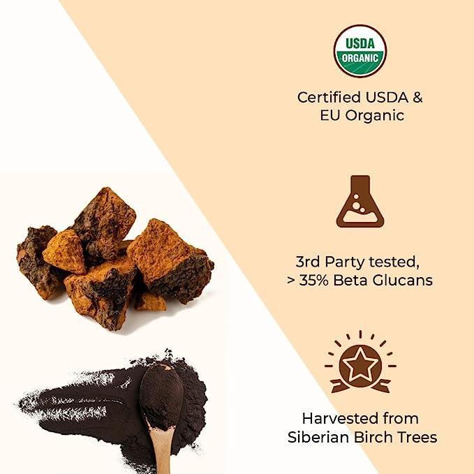 Rooted Chaga mushroom Extract Powder | Blood Sugar, Heart & Immunity.