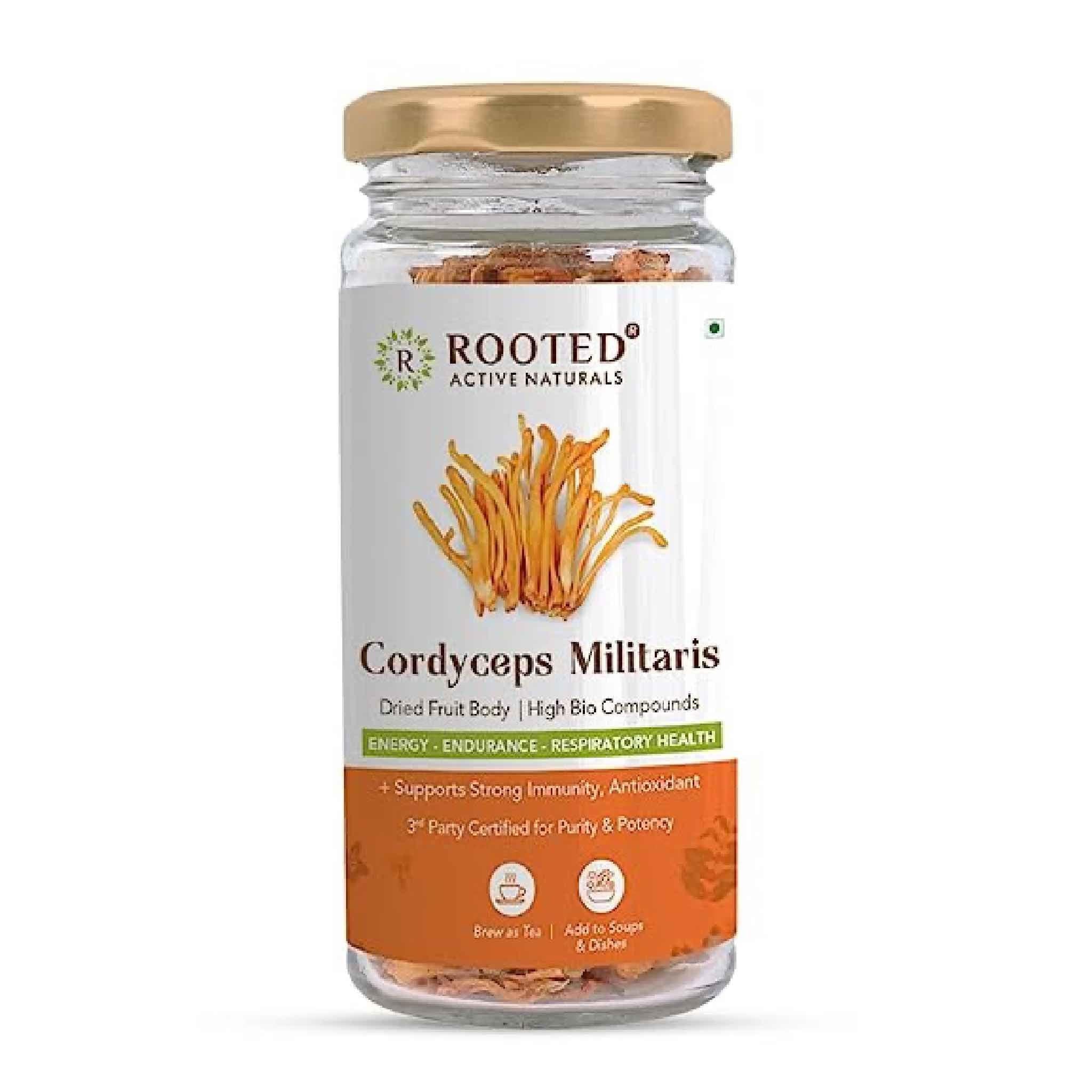 Rooted Actives Cordyceps (Dry Body) | Energy, Stamina, Supports Testosterone, Virility, Lung health | 25g, Organic.