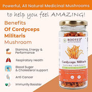 Rooted Cordyceps Dry Body, 25 gm | Dietary supplement to strengthen Immune System, nutritional supplement, multivitamins, vitamin for men, women and adults, health supplements - CBD Store India