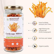 Rooted Cordyceps Dry Body, 25 gm | Dietary supplement to strengthen Immune System, nutritional supplement, multivitamins, vitamin for men, women and adults, health supplements - CBD Store India