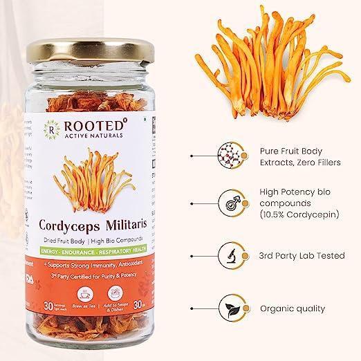 Rooted Actives Cordyceps (Dry Body) | Energy, Stamina, Supports Testosterone, Virility, Lung health | 25g, Organic.