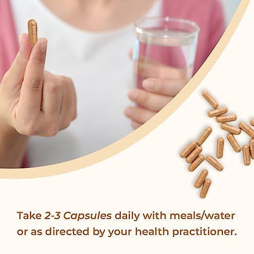 Rooted Actives Cordyceps Mushroom Extract  (60 caps, 500 mg) | Energy, Stamina, Supports Testosterone, Virility, Lung health.