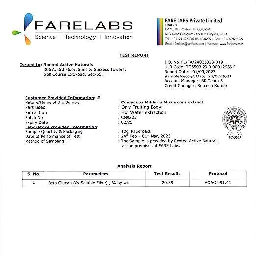 Rooted Actives Cordyceps Mushroom Extract  (60 caps, 500 mg) | Energy, Stamina, Supports Testosterone, Virility, Lung health.