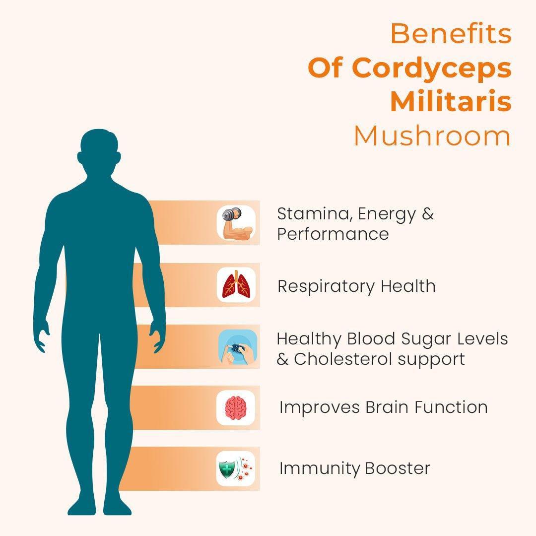Rooted Actives Cordyceps Mushroom Liquid tincture |Energy, Stamina, Supports Testosterone, Virility, Lung health | 30 ml, Organic.