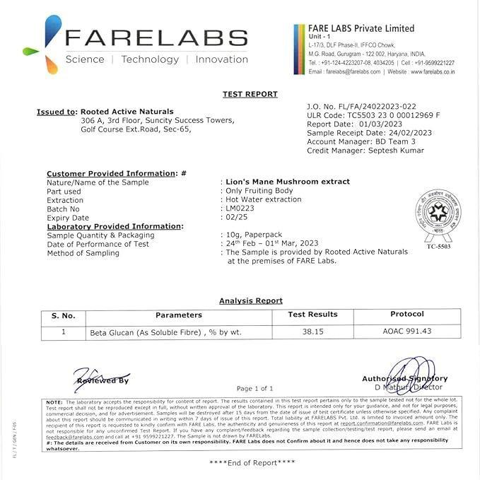 Rooted Lions Mane mushroom Extract Powder (120 gm) | Memory, Focus, Brain Powder & Nerve Health..