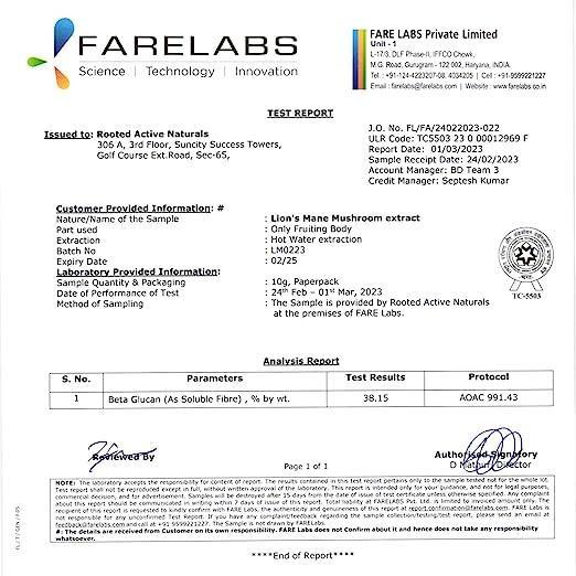 Rooted Lions Mane Mushroom Extract Powder (60 gm) | Memory, Focus, Brain Powder & Nerve Health..