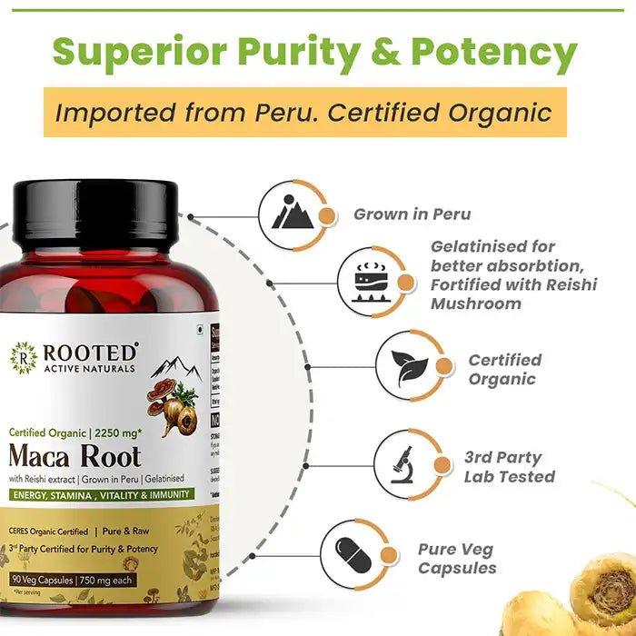 Rooted Actives Maca Root Extract with Reishi Mushroom (90 Veg Caps, 750 mg) -Stamina, Virility, Hormonal support.
