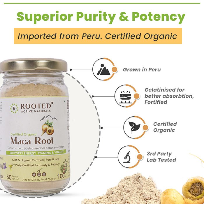 Rooted Maca Root Powder (100 Grams) - All Natural & NON GMO Maca Root Powder - CBD Store India