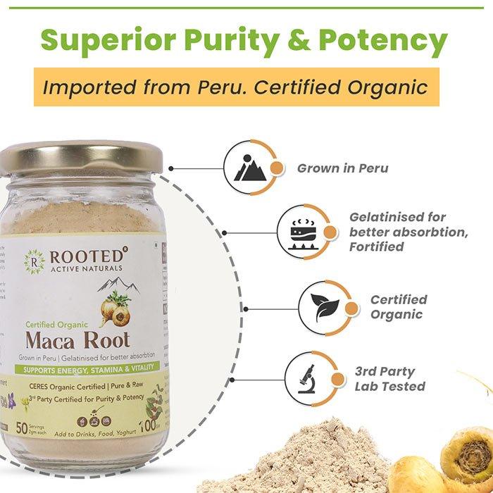 Rooted Actives Maca Root Extract powder (100 g) -Stamina, Virility, Hormonal support | Imported from Peru, Certified Organic, GelatinisedMaca Root PowderRooted Maca Root Powder | For Immunity, Energy, and Productivity