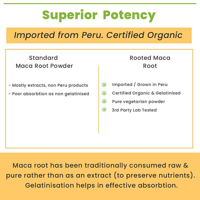 Rooted Maca Root Powder (100 Grams) - All Natural & NON GMO Maca Root Powder - CBD Store India