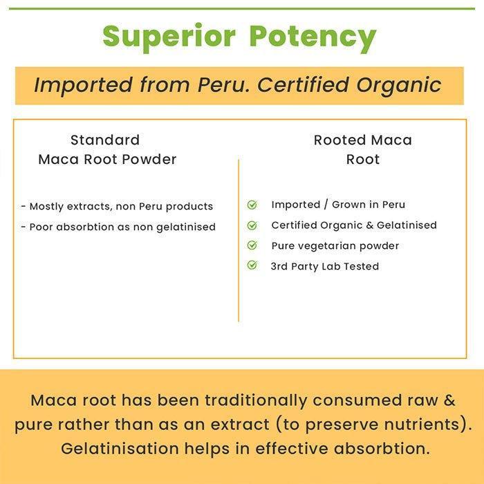 Rooted Actives Maca Root Extract powder (100 g) -Stamina, Virility, Hormonal support | Imported from Peru, Certified Organic, Gelatinised.