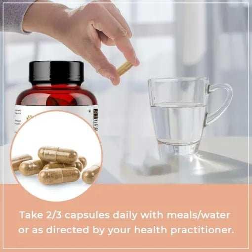 Rooted Actives Shiitake Mushroom 60 Capsules 650 mg | Supports Healthy Cholesterol & Helps BP Levels | Immunity, Heart, Skin & Hair Health & Weight Control.