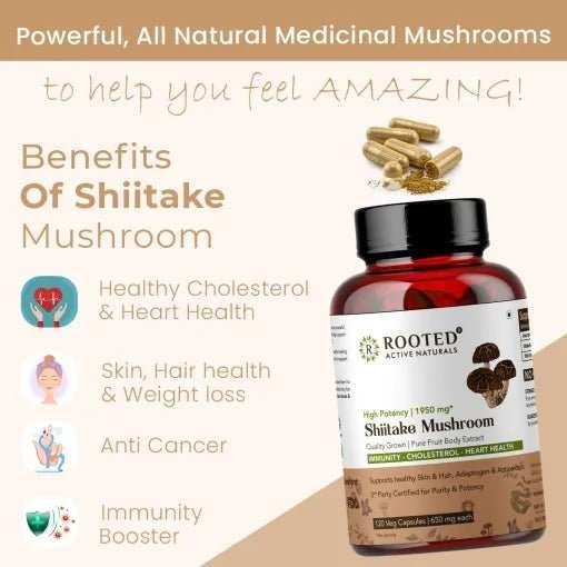 Rooted Actives Shiitake Mushroom 60 Capsules 650 mg | Supports Healthy Cholesterol & Helps BP Levels | Immunity, Heart, Skin & Hair Health & Weight ControlMushroomShiitake mushroom extract | Supports Cholesterol, Heart & Immunity