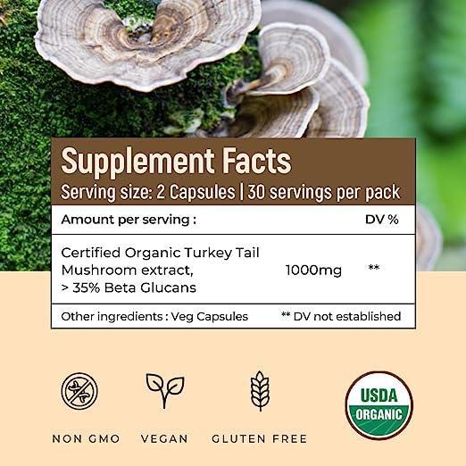 Rooted Actives USDA Organic Turkey Tail Mushroom Extract (500 mg), > 35% Beta Glucans.
