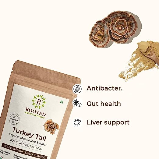 Rooted Turkey Tail mushroom Extract Powder | Gut Health, Liver, Immunity - CBD Store India