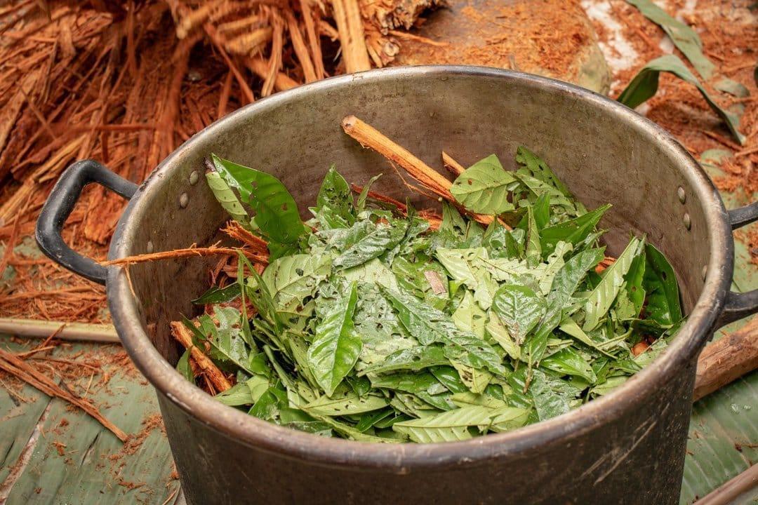 Sacha Runa Shamanic Retreats in Bolivia - 15 Day Retreat.