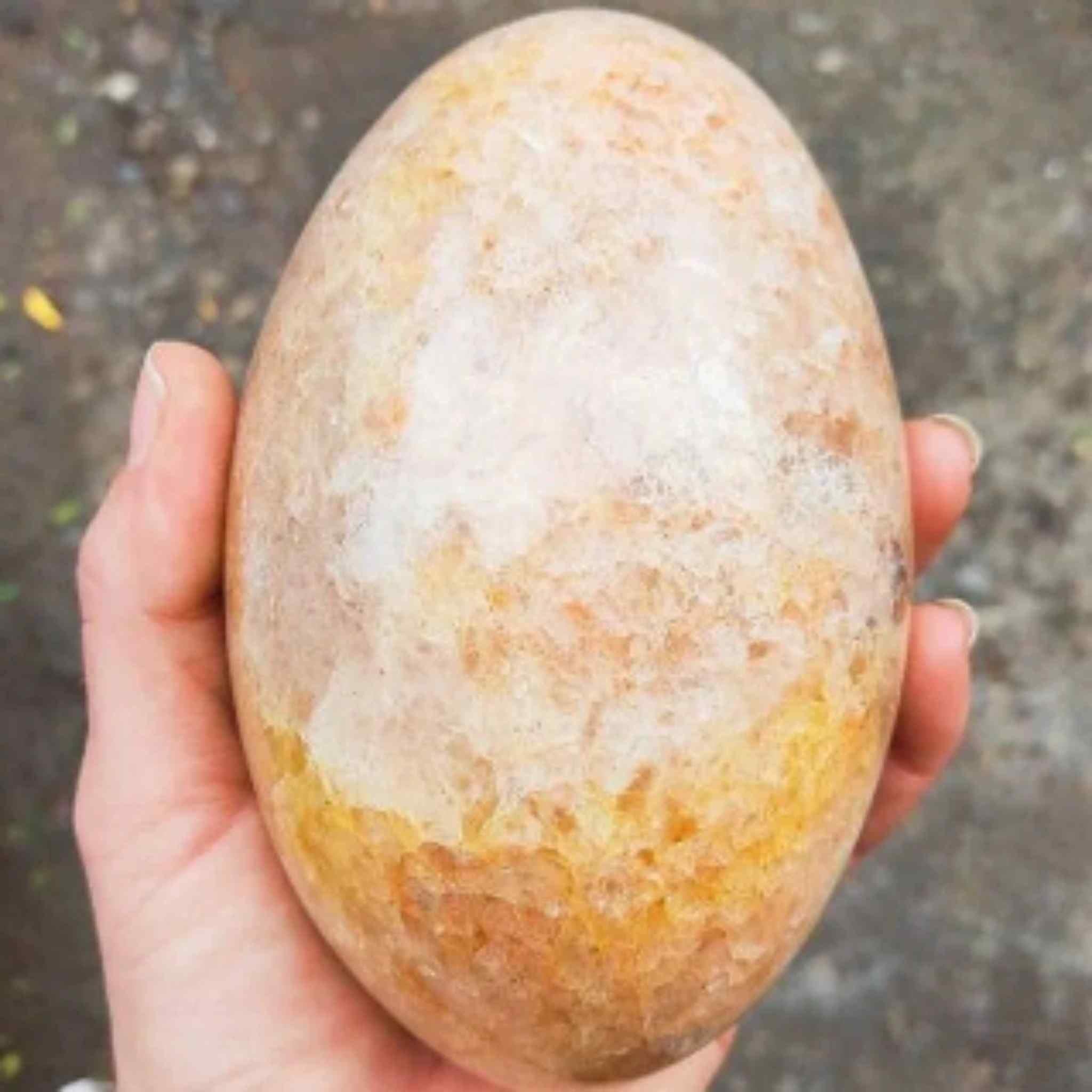 Premium Golden Healer Quartz Crystal.