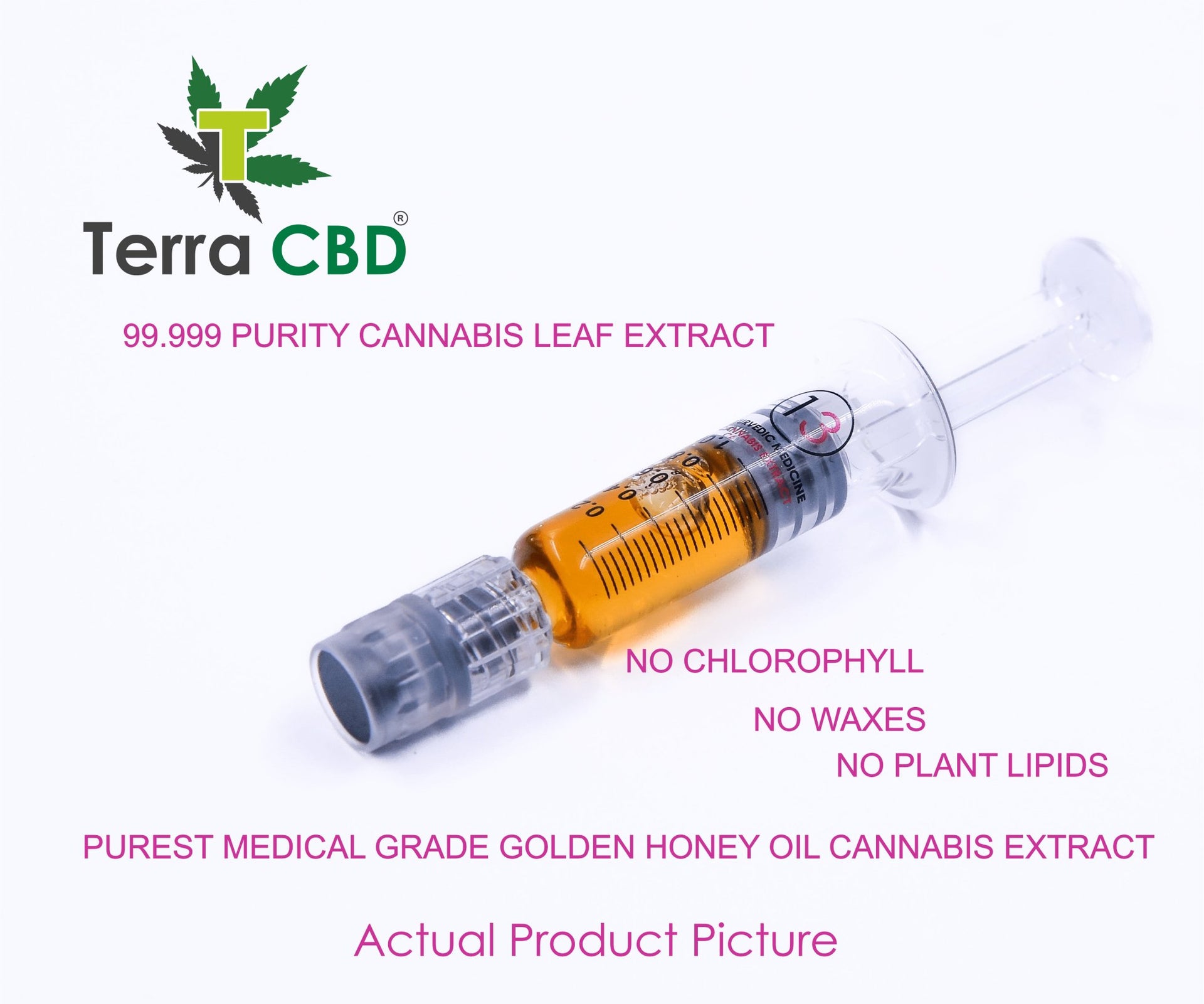 Terra CBD – Strain Specific Cannabis Extract – Jack Herrer - CBD Store India