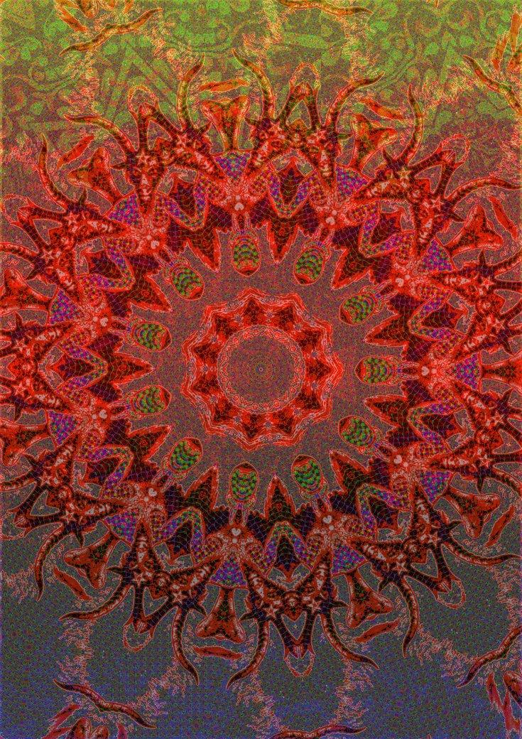 The Call of the Wild Women's T-ShirtT-ShirtWomen's Cotton T-Shirt - Graphic Print | 100% Soft Cotton