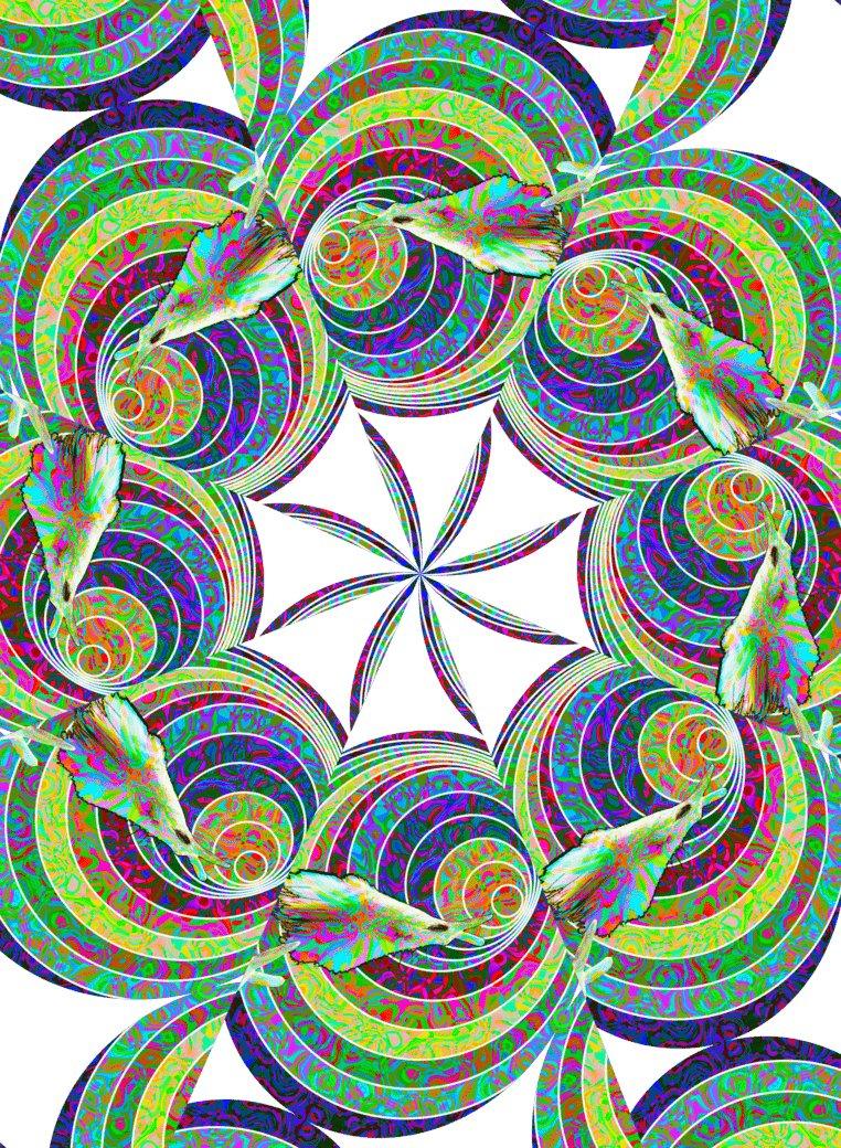 The Cunning Rabbit Women's T-ShirtT-ShirtCunning Rabbit T-Shirt - Cotton Women's Graphic