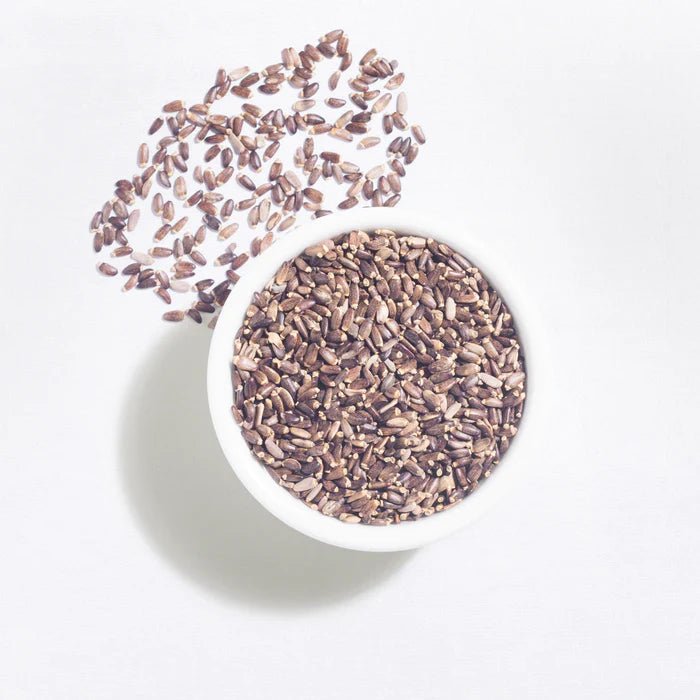 The Indian Chai - Organic Milk Thistle Seed - CBD Store India