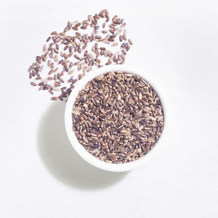 The Indian Chai - Organic Milk Thistle Seed.