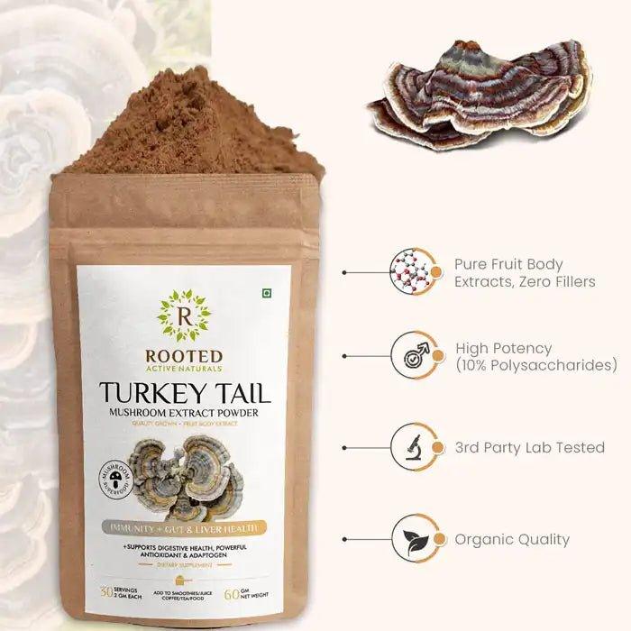 Turkey Tail Mushroom Extract Powder | Gut, Digestion & Liver - CBD Store India