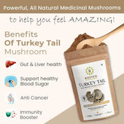 Turkey Tail Mushroom Extract Powder | Gut, Digestion & Liver - CBD Store India