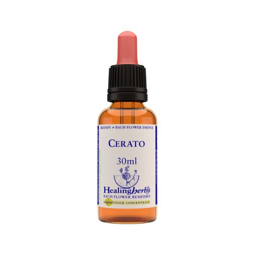 Vior Naturals - Cerato | Bach Flower Stock Concentrate - CBD Store India