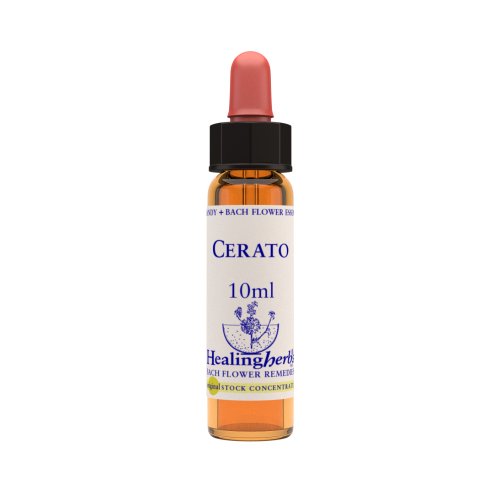 Vior Naturals - Cerato | Bach Flower Stock Concentrate - CBD Store India