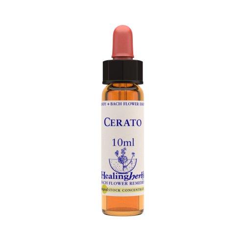 Vior Naturals - Cerato | Bach Flower Stock ConcentrateBach Flower RemediesVior Naturals - CERATO Bach Flower Stock Concentrate | CBD Store India