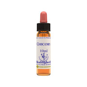 Vior Naturals - Chicory | Bach Flower Stock concentrate - CBD Store India