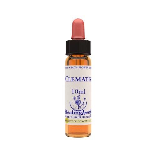 Vior Naturals - Clematis | Bach Flower Stock concentrateBach Flower RemediesVior Naturals - CLEMATIS Bach Flower Stock Concentrate | CBD Store India