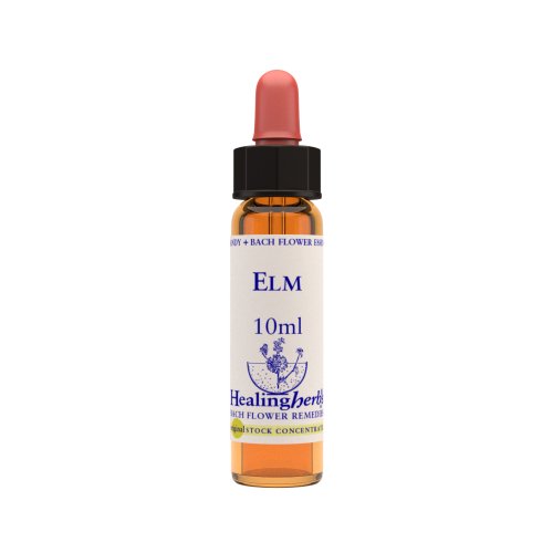 Vior Naturals - Elm | Bach Flower Stock concentrate - CBD Store India