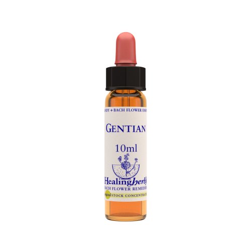 Vior Naturals - Gentian | Bach Flower Stock concentrate - CBD Store India