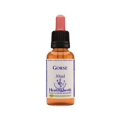 Vior Naturals - Gorse | Bach Flower Stock concentrate.
