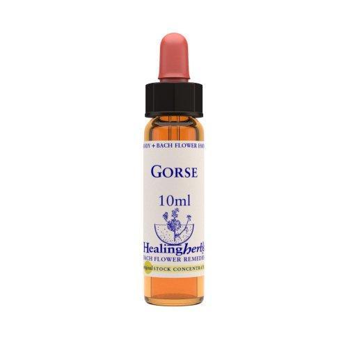 Vior Naturals - Gorse | Bach Flower Stock concentrate.