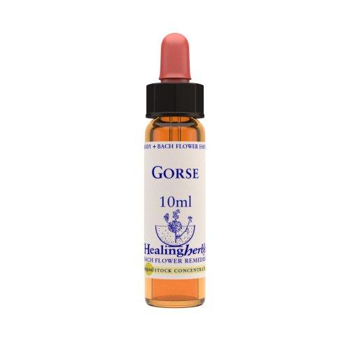 Vior Naturals - Gorse | Bach Flower Stock concentrateBach Flower RemediesVior Naturals Gorse | Bach Flower Remedy for Hopelessness