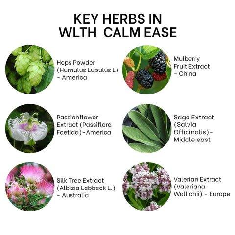 Wlth - Calm Easeadptogen supplimentWlth - Calm Ease | Adaptogen Suppliment | Combat Stress and Anxiety
