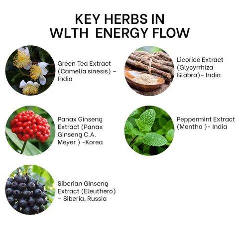 Wlth - Energy FlowAdptogen supplementWlth - Energy Flow | Energy Boosting Herbal Formula