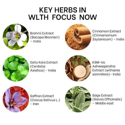 Wlth - Focus NowAdptogen supplementWlth - Focus Now | Improve Cognitive Function and Promote Mental Clarity