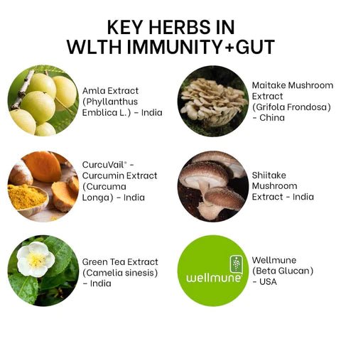 Wlth - Immunity + Gut - CBD Store India