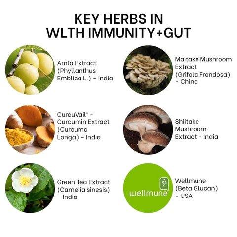 Wlth - Immunity + GutAdptogen supplementWlth - Immunity + Gut | Boost your Immune System and Fight Diseases